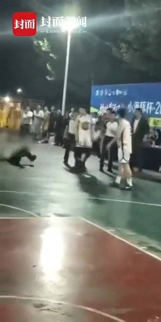 #东营篮球赛球员故意踢球击中裁判#【山东东营一球员踢篮球击中裁判头部，当地篮协：正在医院接受诊断】