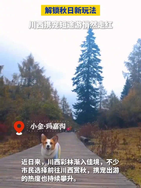 【养宠人看过来，#川西携宠短途游解锁新耍法】