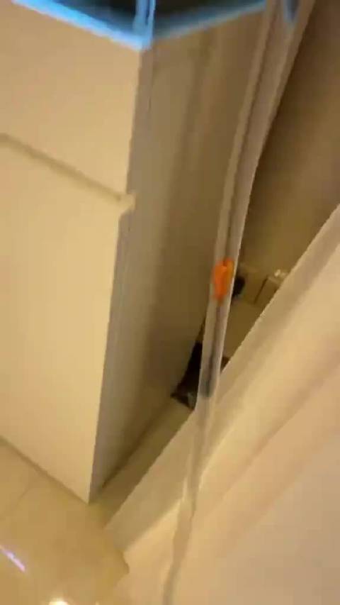 这家伙建了个过山车来防止他的鱼感到无聊
