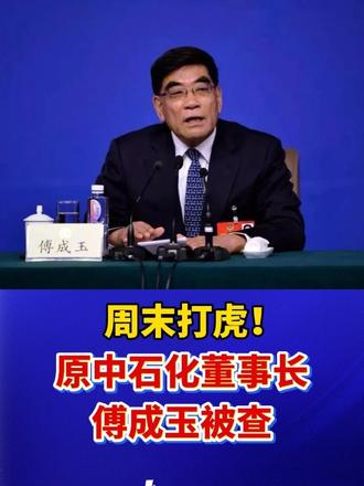 周末打虎！#原中石化董事长傅成玉被查