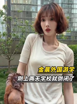 金晨外国游学，刚上两天学校就倒闭了