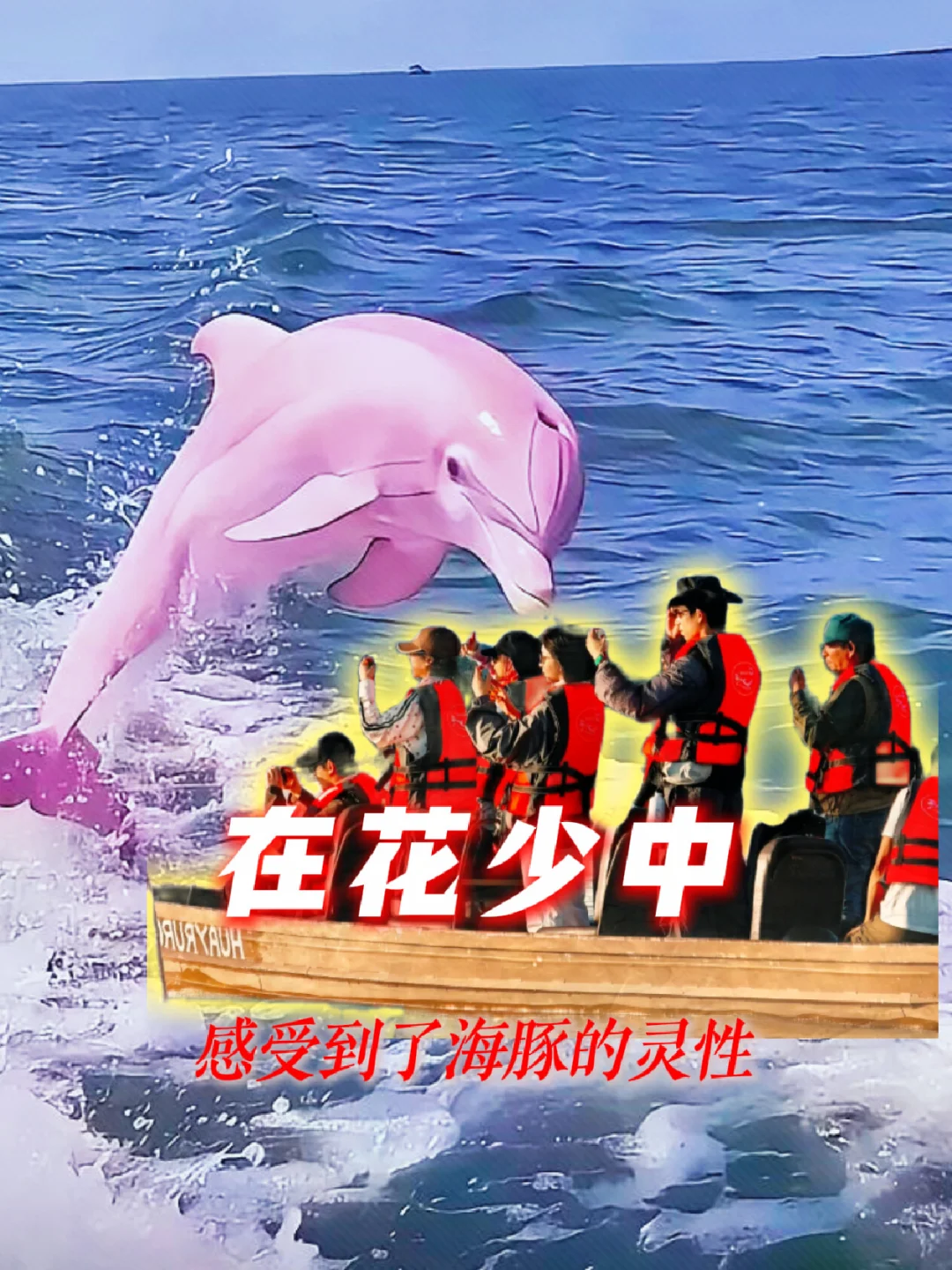 海豚真的是世界上最美好的生物