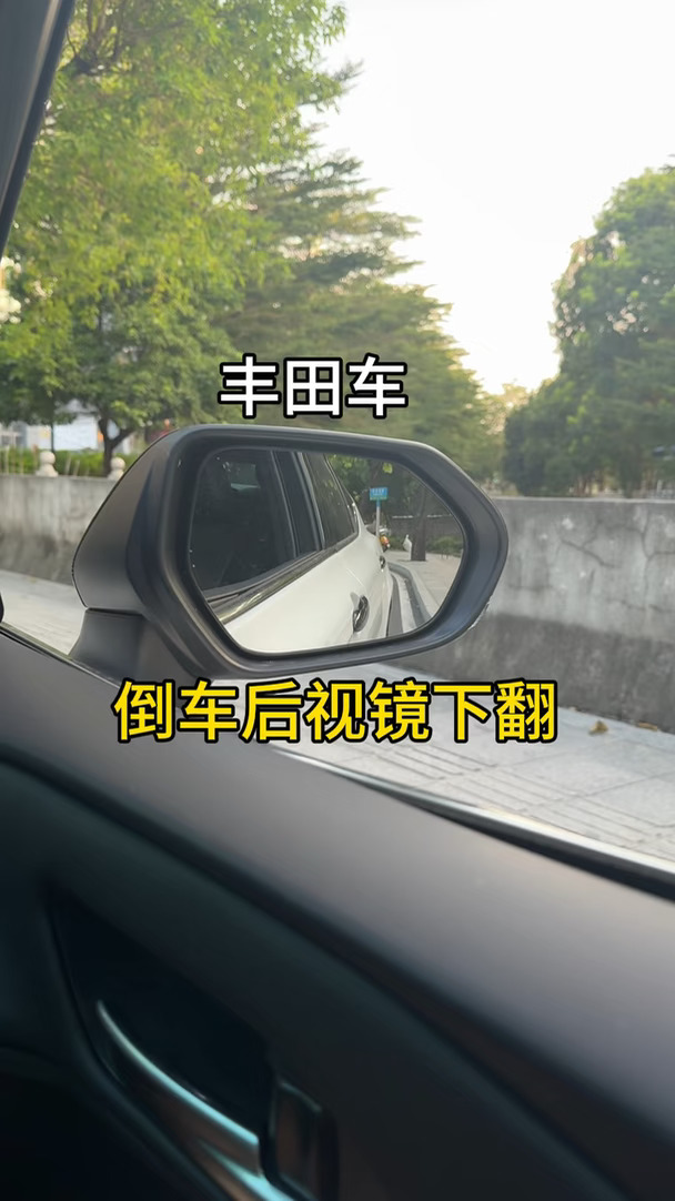 一条视频教会你丰田车如何设置倒车后视镜自动下翻！#丰田 #凯美瑞 #九代凯美瑞 #后视镜下翻