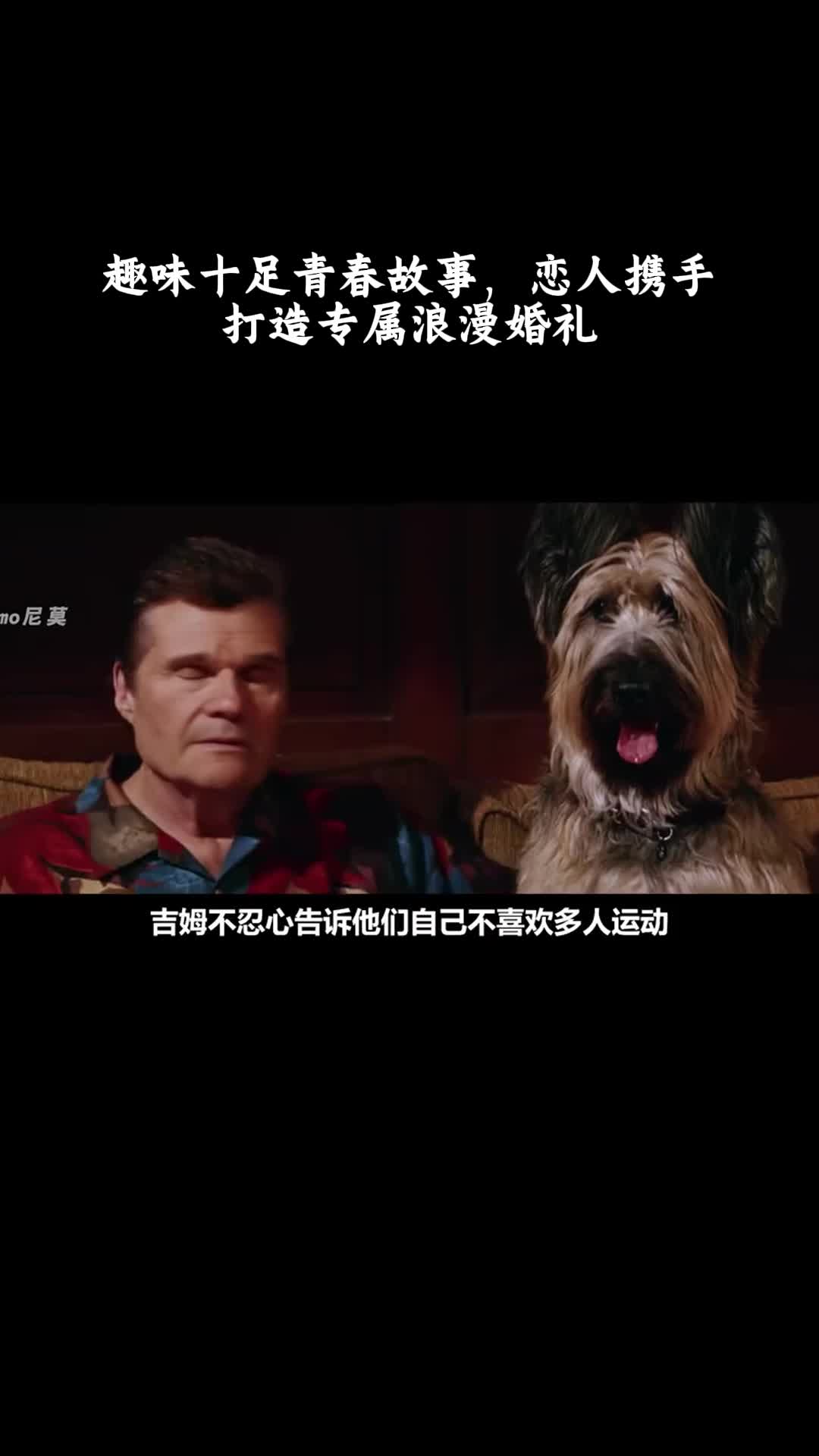 美国派3：美国婚礼：趣味十足青春故事，恋人携手打造专属浪漫婚礼