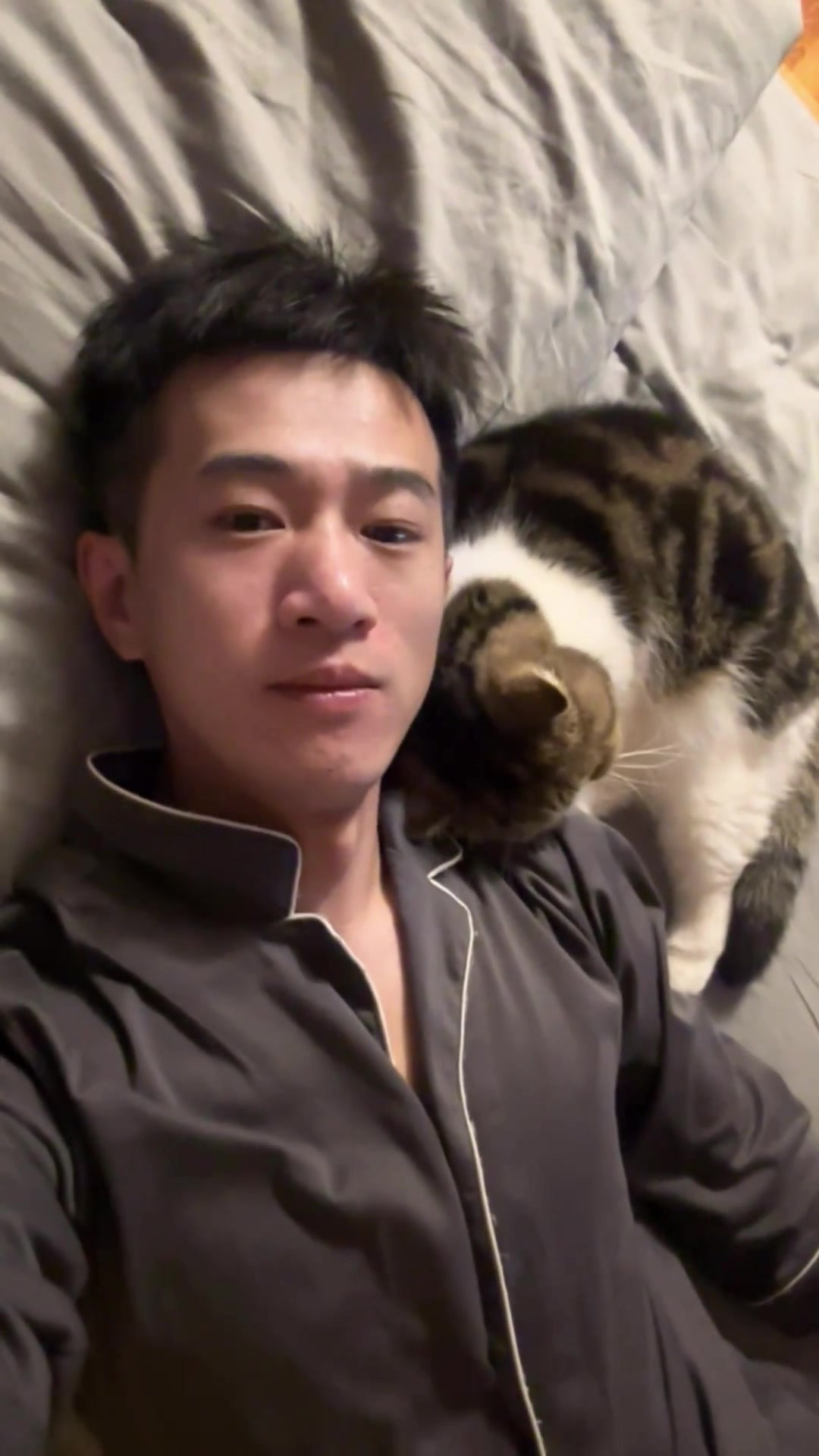 猫咪提供叫醒服务，主人刚睡就过来提供服务了，网友：可爱的咪是个小粘人精