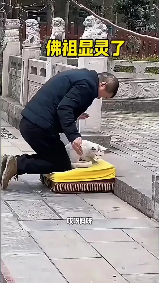 佛祖显灵了