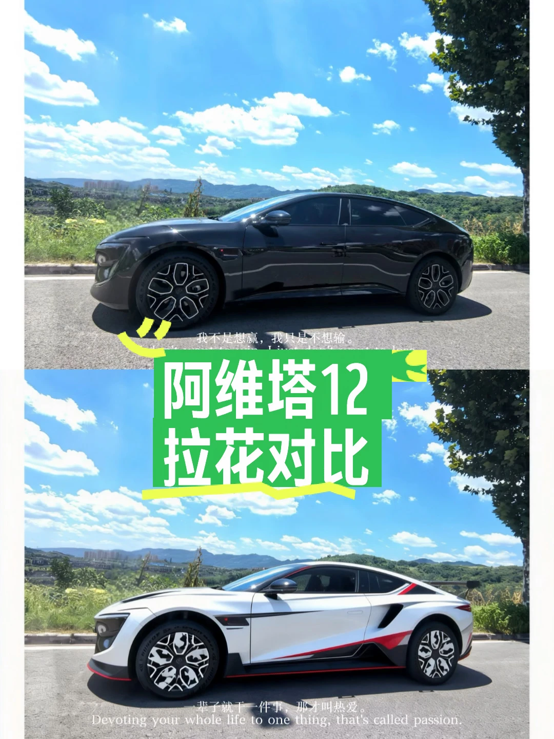 这个拉花喜欢吗