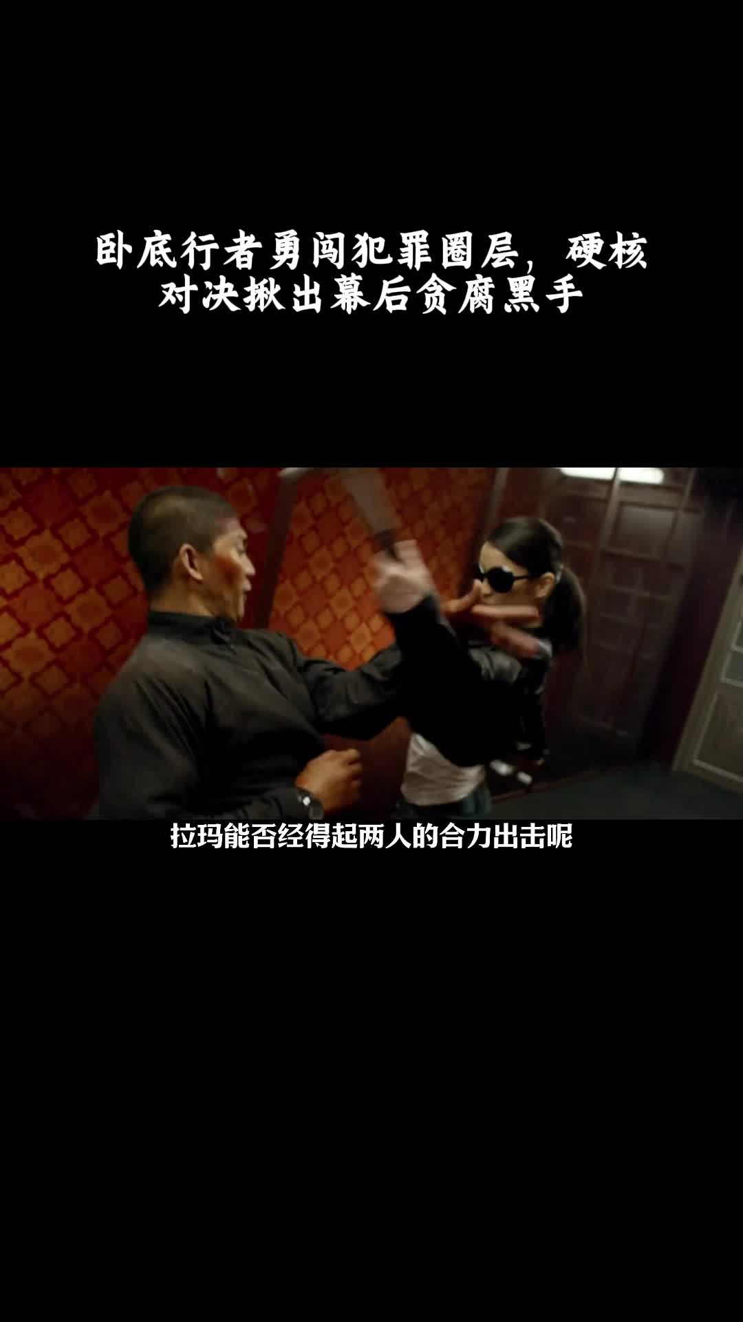 突袭2：暴徒：卧底行者勇闯犯罪圈层，硬核对决揪出幕后贪腐黑手