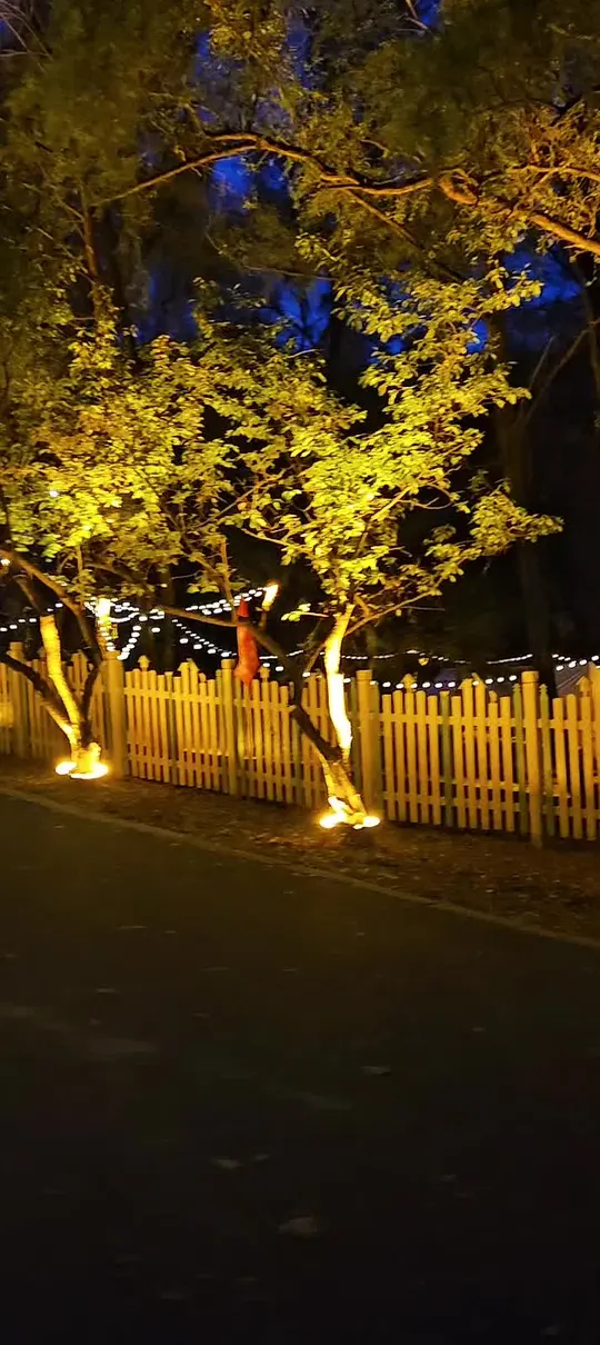 夜色里的老城一半是古韵