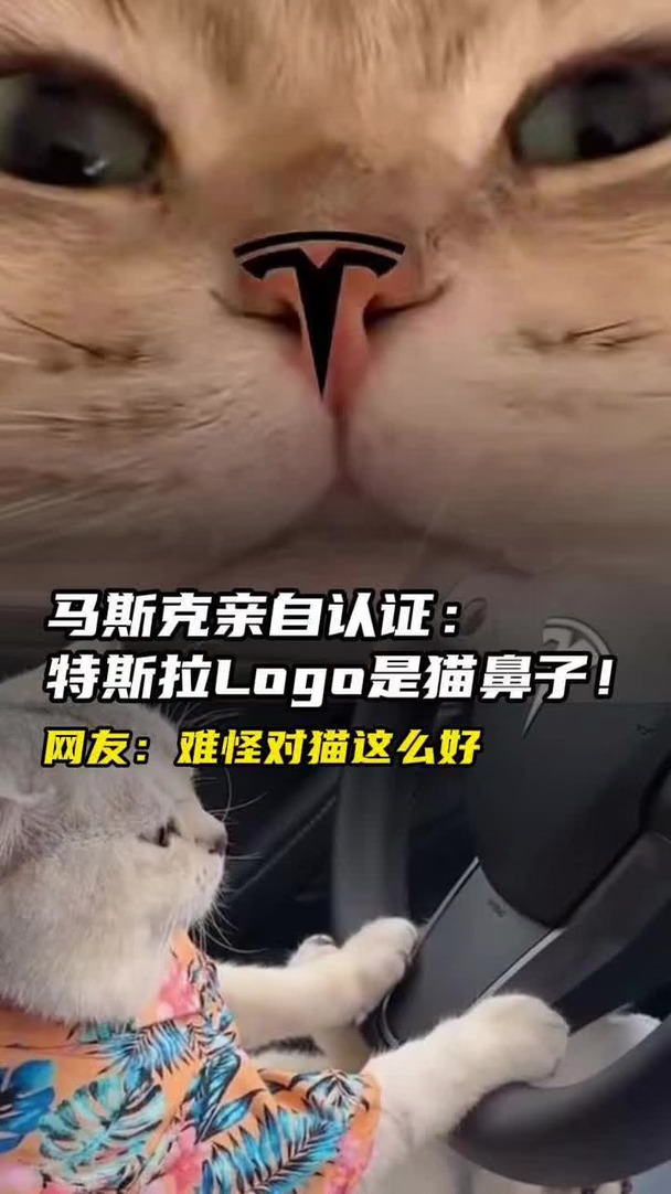 马斯克亲自认证：