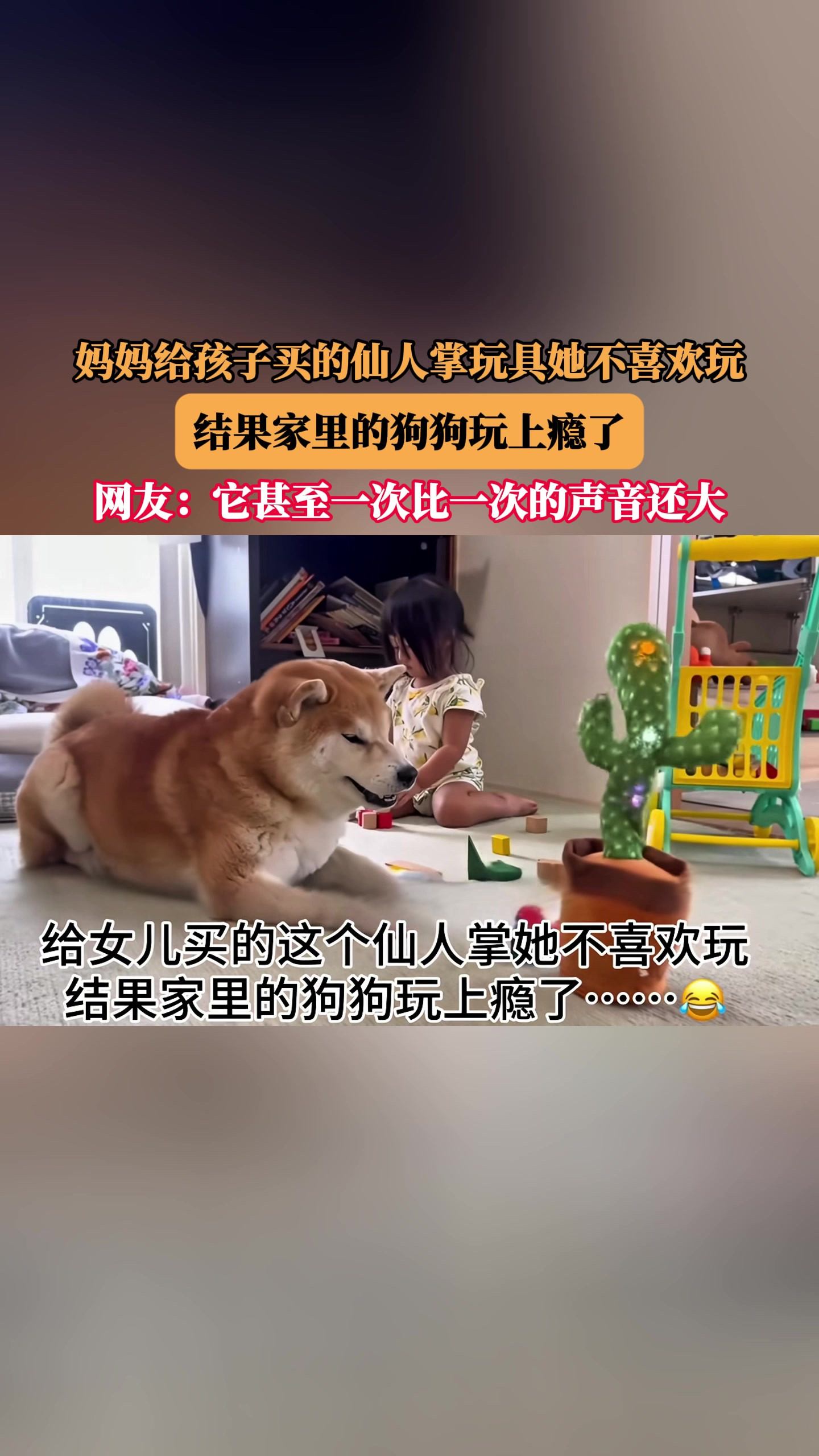 妈妈给孩子买的仙人掌玩具她不喜欢玩，结果家里的狗狗玩上瘾了