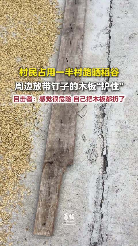 【#村民放带钉木板占路晒稻谷##目击者回应村民放带钉木板占路#】近日，江西赣州，村民占用一半村路晒稻