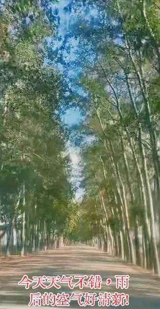 今天天气不错，雨后的空气好清新！