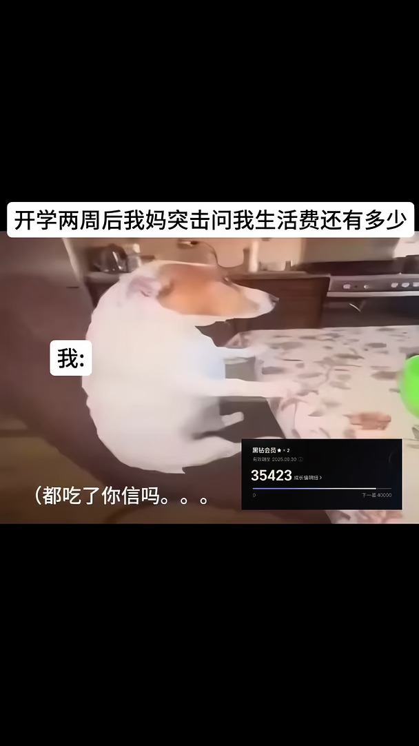 开学两周后我妈突击问我生活费还有多少