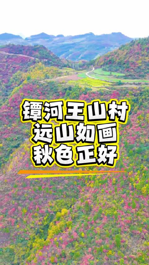 #这么近那么美漫游陇南看山水##遇见美好# 镡河王山村，远山如画，秋色正好