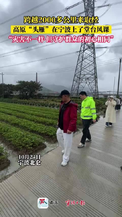 #青海干部在宁波上了一堂特别台风课# 青海天峻县村干部却知布加等6人来到宁波开展为期一月跟岗研学，恰