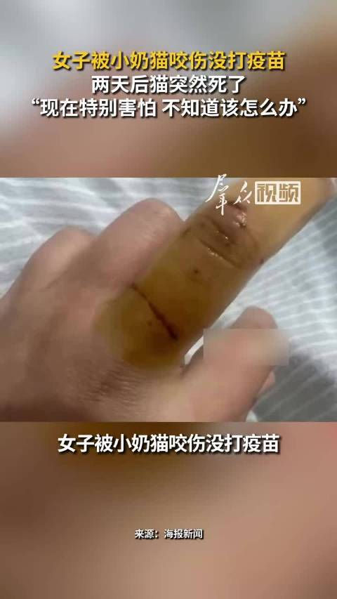 【#被猫咬伤后猫死亡女子已打疫苗#】#女子被小奶猫咬伤2天后猫死亡#近日，河南开封，女子收养一只小奶