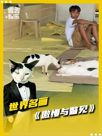 奶牛猫误入蛋宰派对