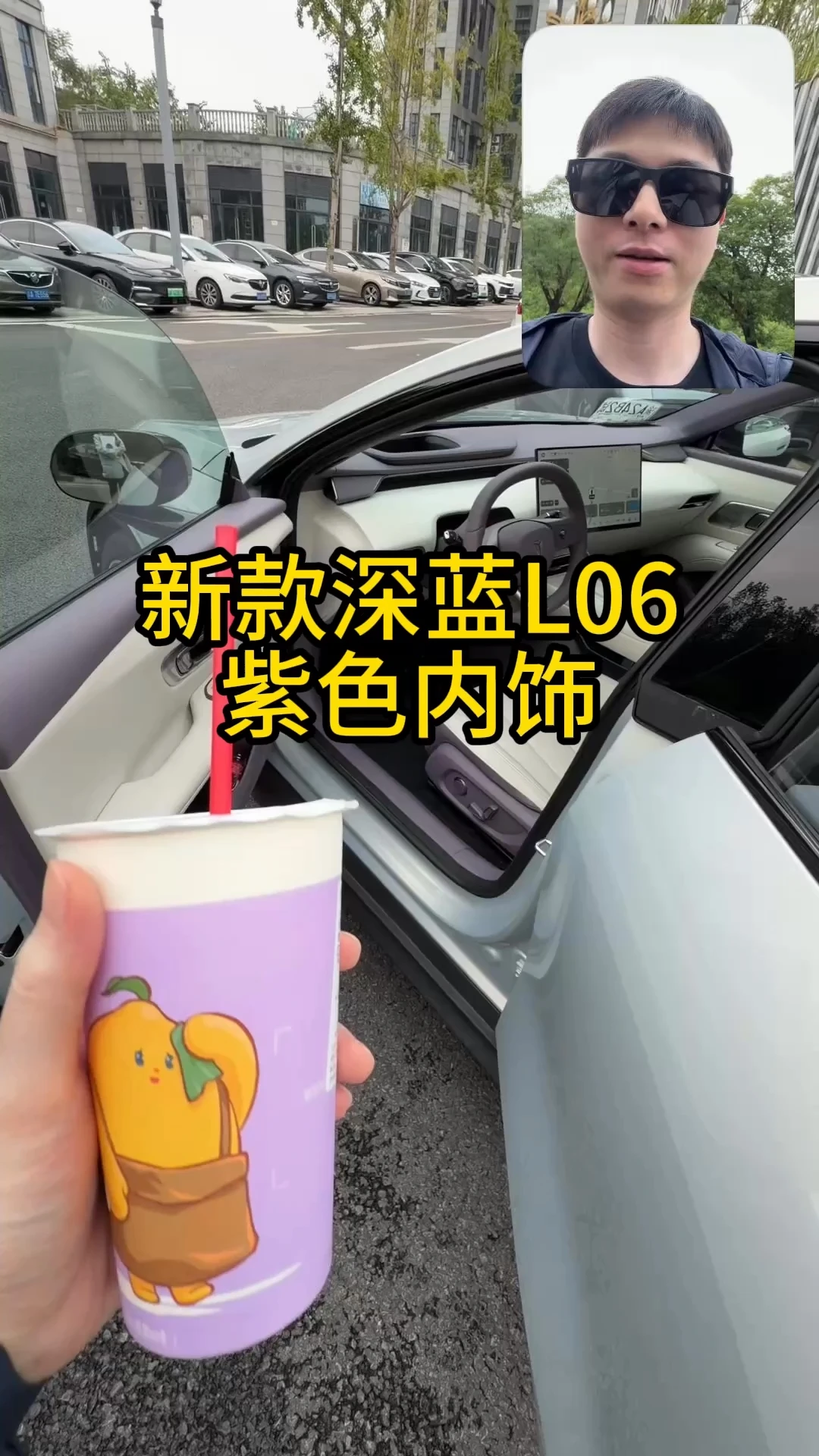 新深蓝L06紫色内饰