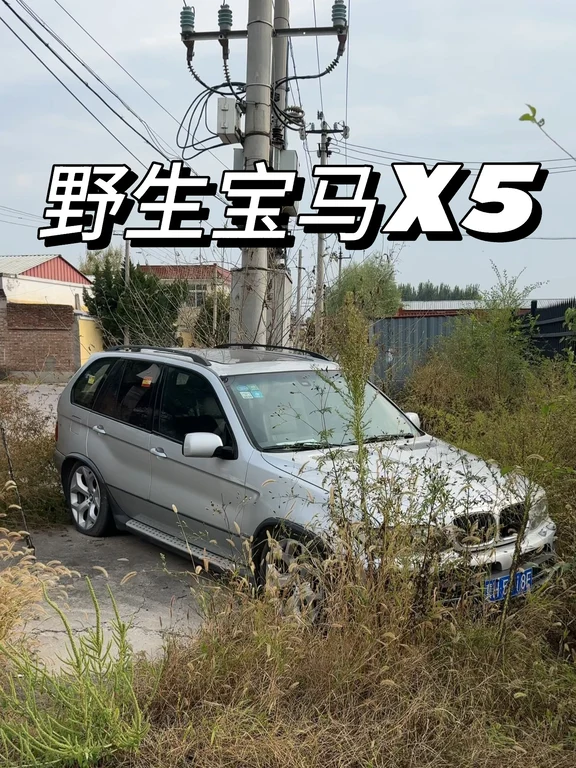 宝马E53 X5