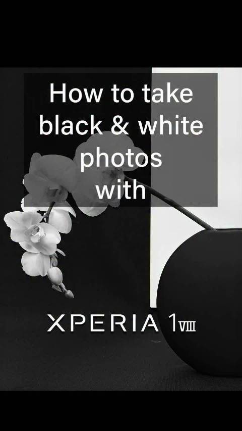 打造属于你的黑白风格。使用 索尼Xperia 1 VIII 的 AI Camera Assistan