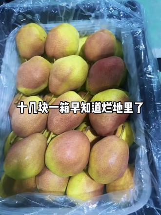 十几块一箱，早知道烂地里了！