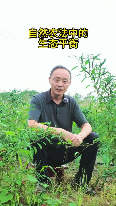 这都神马玩意？虫子越多越好，草也越多越好……所谓自然农法领域，这类的高人真特么多，不要常识，一味神吹