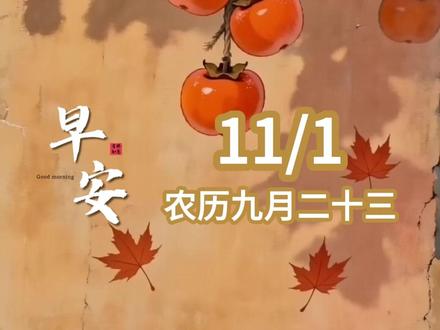 愿11月的第一天给你带来无尽的喜悦与希望，每一天都充满阳光！愿你的人生航程顺风顺水，收获满满！
