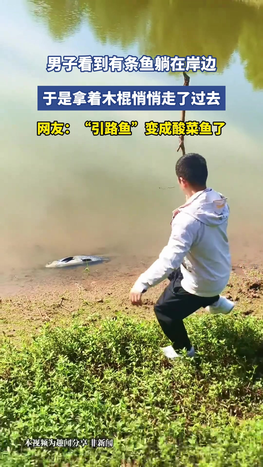 男子看到有条鱼躺在岸边，于是拿着木棍悄悄走了过去，网友：“引路鱼”变成酸菜鱼了