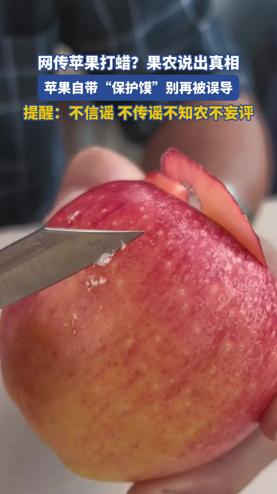 果农出面辟谣，揭开苹果“蜡层”真相。别再担心了！苹果那层白霜不是人工蜡！