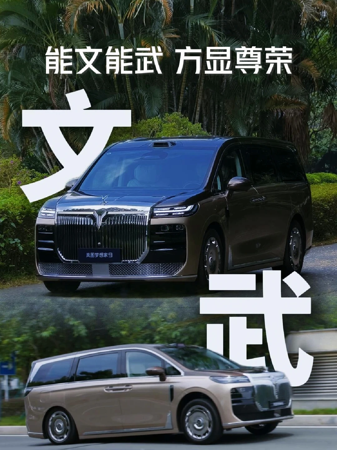 能文能武，方显尊荣