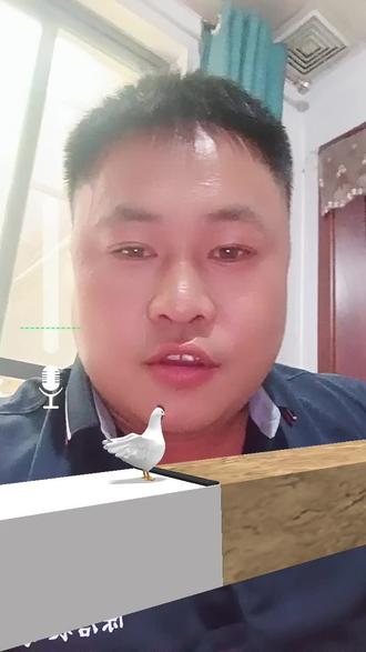 就问谁能驯服这只声控鸡