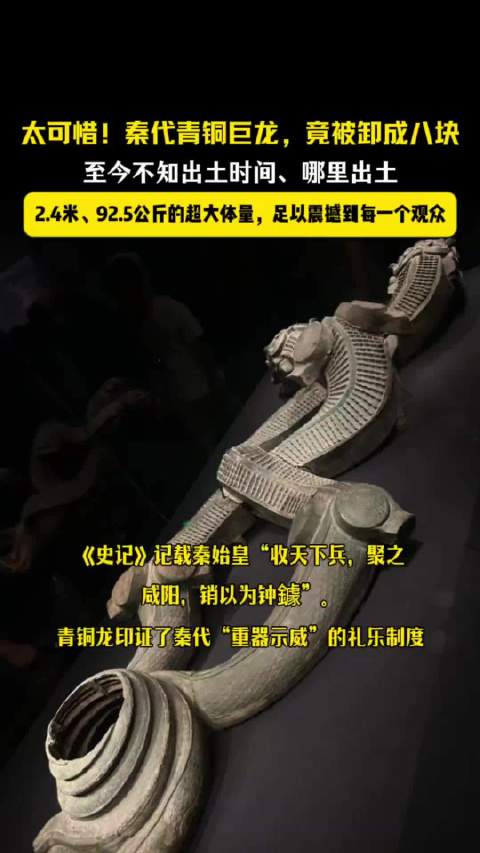 秦代青铜龙出土时间、地点至今无从考证  ​​​