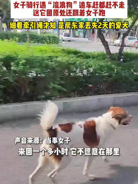 【#女子骑行被狗追意外揭开寻狗记】