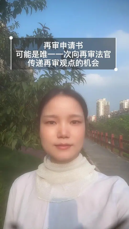 再审申请书，可能是唯一一次向再审法官传递