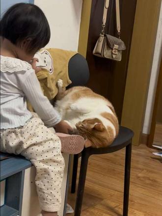 大橘:我不冷，我穿这一身皮草呢……%