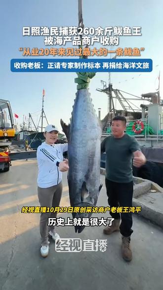 日照渔民捕获260余斤鲅鱼王，被海产品商户收购，“从业20年来见过最大的一条鲅鱼”