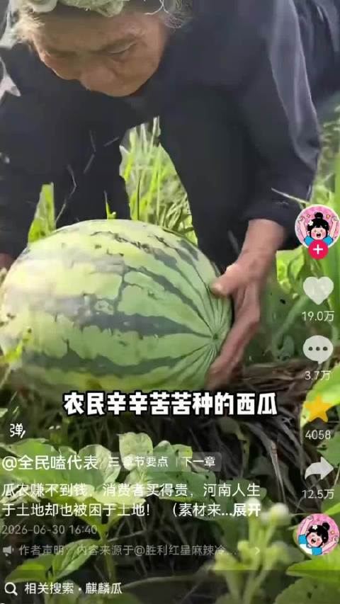 听听中间商怎么说：我就是卖西瓜的中间商，仔细看完还骂我，我也认了