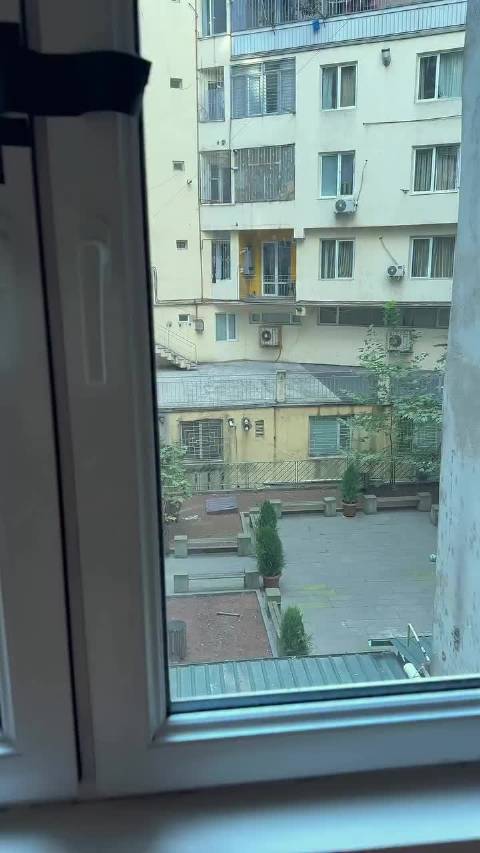扔下去的垫子小猫们没有争抢，而是友好的睡在了一起  ​​​
