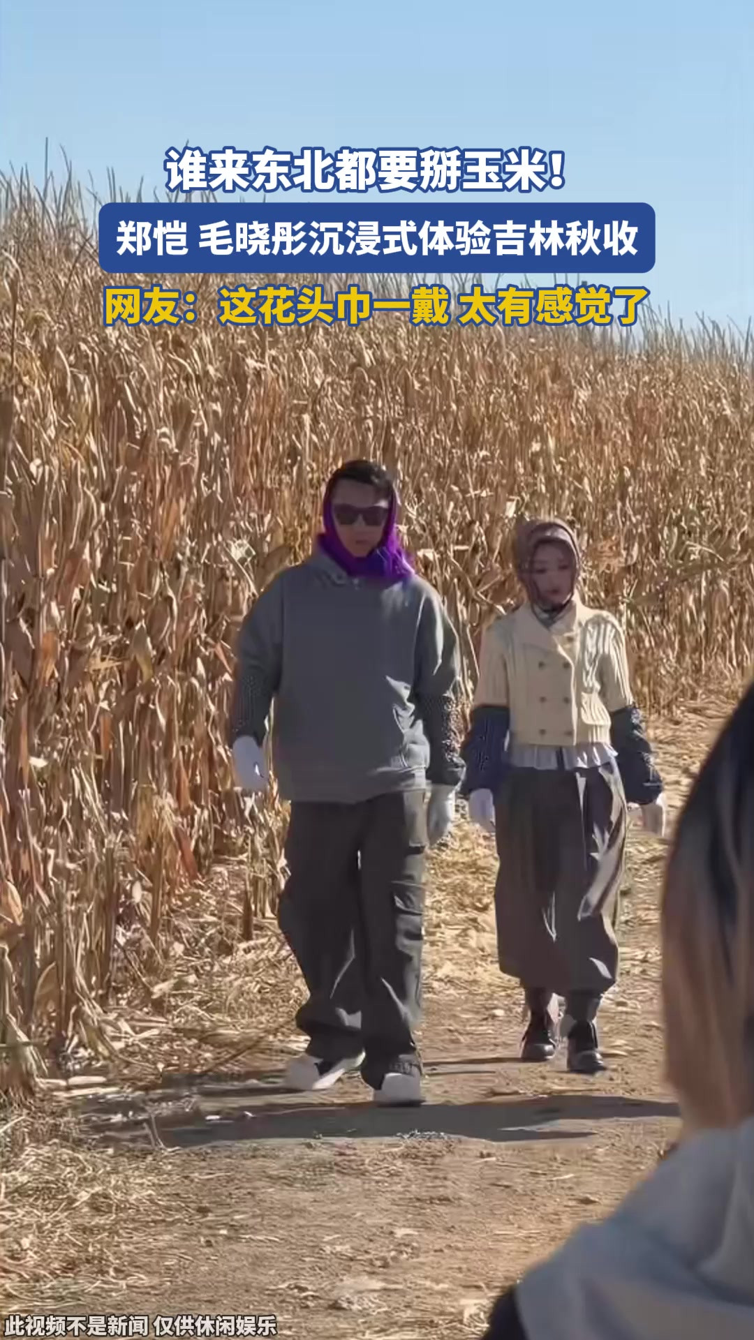 谁来东北都要掰玉米！郑恺、毛晓彤沉浸式体验吉林秋收。网友：这花头巾一戴，太有感觉了！