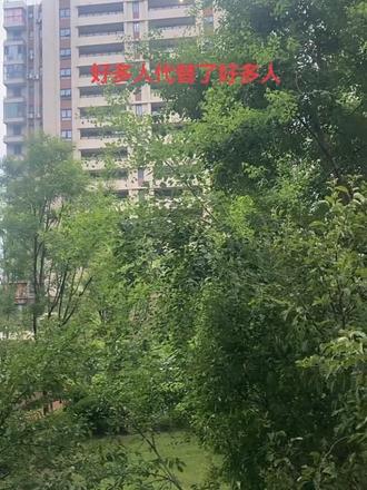 感恩遇见……