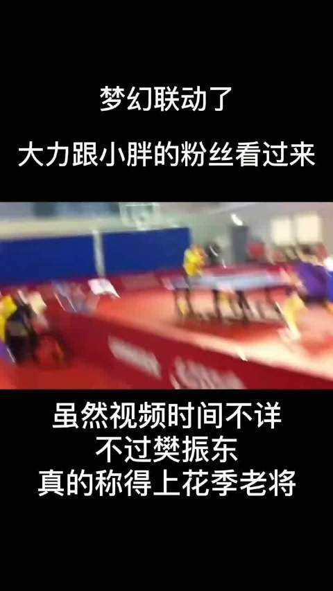 花季老将樊振东—15岁就进了国家队，征战十年，归来依然是花季少年