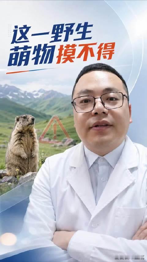【科普来了！#鼠疫是如何传播的#？[并不简单]】#近年鼠疫传播案例大多与旱獭有关# 这两天，“俄罗斯