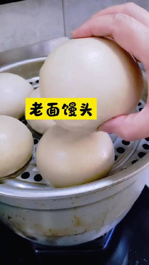 老面引子养好了，怎么蒸好馒头#热点聚焦##拍一种很新的vlog#  ​​​