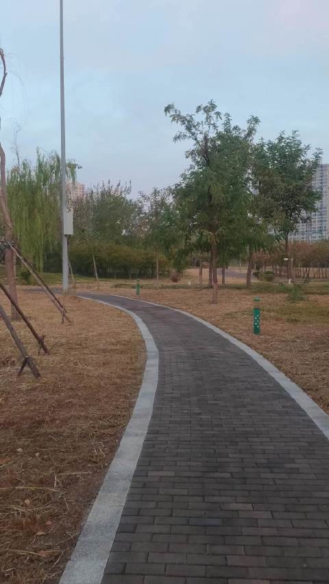 #我的旅行碎片# 周末走进城市公园，风安安静静的。石板小路向前蜿蜒，草木慢慢染上秋的颜色，湖水把房子