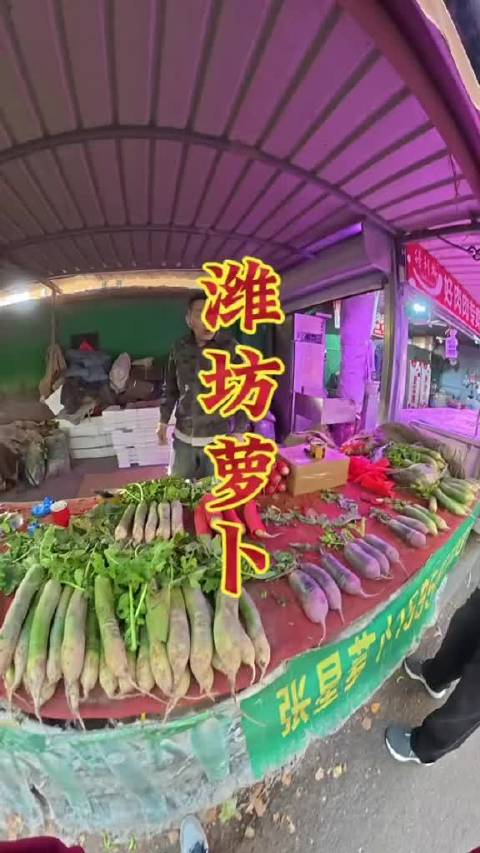 #大眼去旅行[超话]#  潍坊特产～萝卜   ​​​