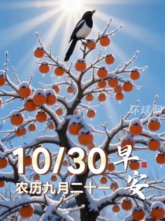 好“柿”成双，福运登门，新的一天，愿您“柿”顺心安，喜乐常伴，万事顺遂，岁岁无忧