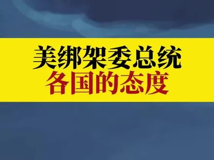 每日分享