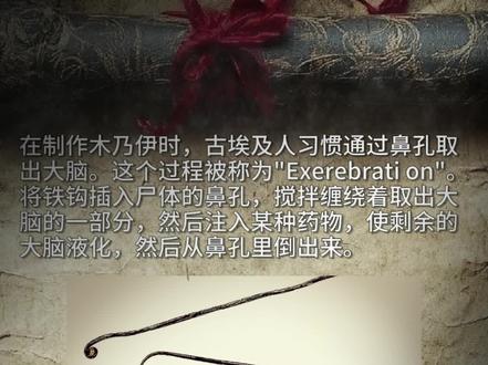 最近了解到一个有意思的冷知识💡 古埃及人在制作木乃伊时，习惯通过鼻孔取出大脑，这个过程被称为"Exe