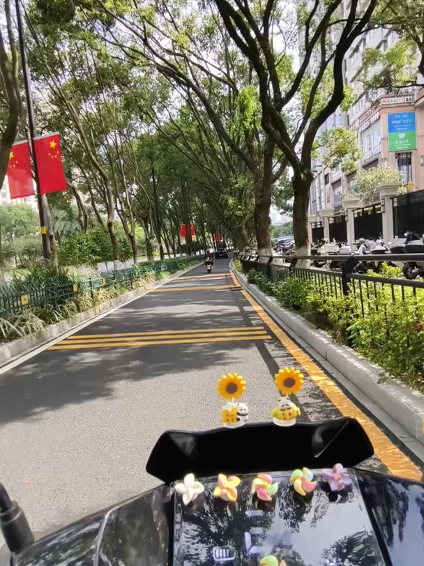 谁要跟我去登记，就给他买玛莎拉蒂#歌曲改编 #电动车  #逗你一笑烦恼忘掉 #看一遍笑一遍  #搞笑